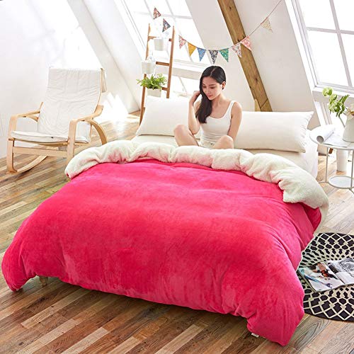 SAZDFY Engrosamiento Funda de edredón de vellón Coralino, Juego de edredón de Terciopelo cálido...